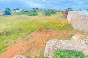 Terreno a posto rosso di alliste di 1511 mq