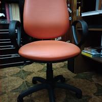 Poltrona per scrivania