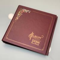 Mini Album Liebig ed Unificato 1998 tiratura lim