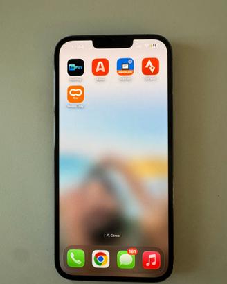 iPhone 13 Pro Max 256 GB