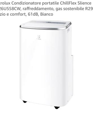 Condizionatore e deumidificatore Elettrolux