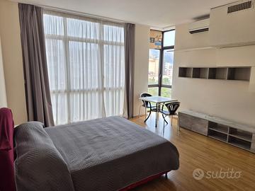 Monovano in zona Strasburgo