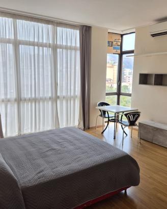 Monovano in zona Strasburgo