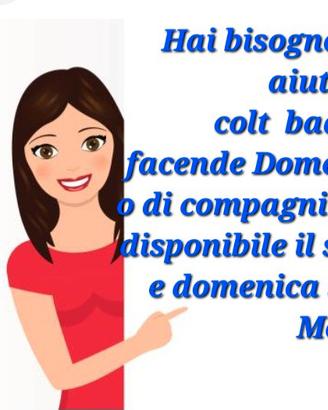 Badante, Pulizie  