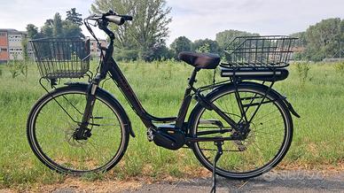 bicicletta pedalata assistita 