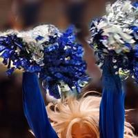 POM POMS PROFESSIONALI STILE AMERICANO COLORI VARI