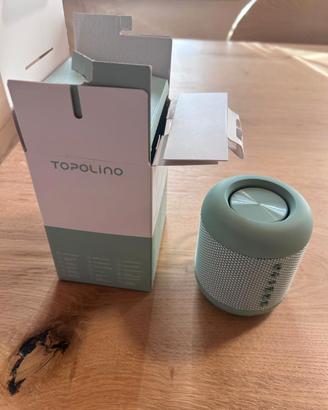 Cassa audio topolino