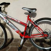 Bici Maino Two Six