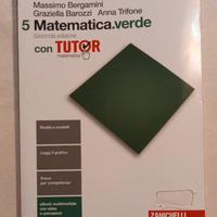 Matematica verde 5