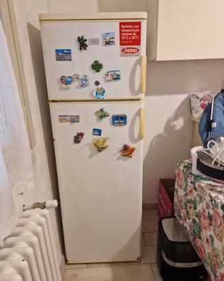 frigo