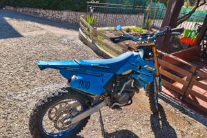 TM 450 en