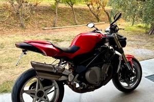 MV agusta brutale  910  s