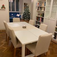 Coppia Sedie Bergmund Ikea con doppia copertura