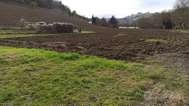 Terreno Agricolo - Macerata