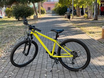 Bicicletta