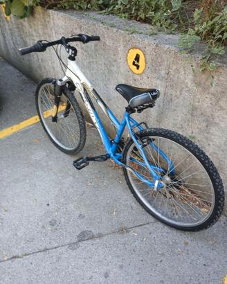 Bicicletta mountain bike ragazzo/a