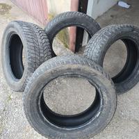 Gomme Inver/Estiv 2 treni