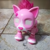 Gattina zoomer kitty