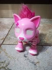 Gattina zoomer kitty