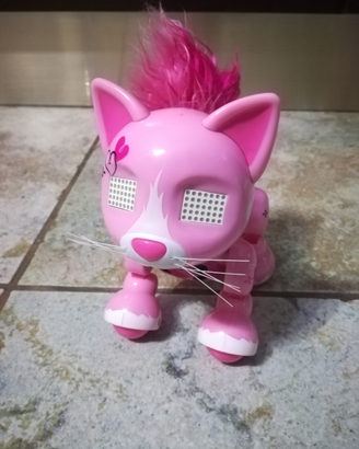 Gattina zoomer kitty