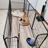  recinto per cani con accessori