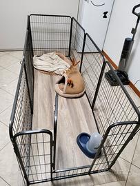  recinto per cani con accessori