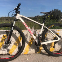 Mtb specialized 29 interamente in carbonio