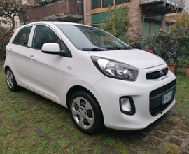 Kia Picanto 2015 - EURO 6 - OK NEOPATENTATI