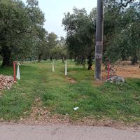 Terreno Sannicandro di Bari