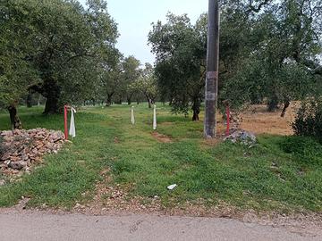 Terreno Sannicandro di Bari