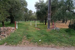 Terreno Sannicandro di Bari