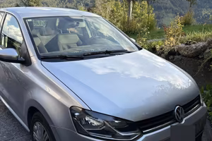 Polo con unico proprietario