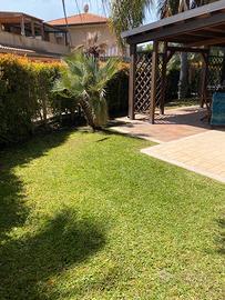 Bivano con giardino complesso Prato del mare 1