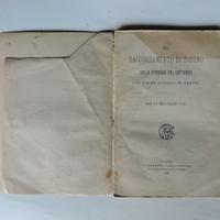 Il raccordamento di Torino con fer .Gottardo