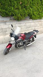 Moto Guzzi Breva V750 perfetta per caffèracer