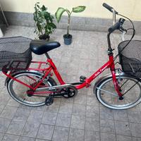 Bicicletta donna