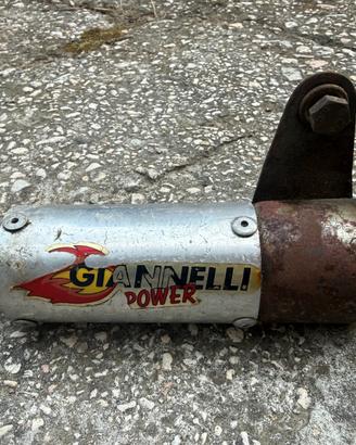 Giannelli power