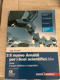 2 Il nuovo Amalsi per licei scientifici.blu