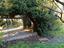 Immagine 25