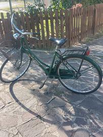 bici Vicini  verde 