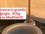 Immagine 27