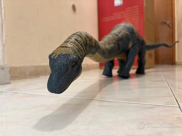 Martina dreadnoughtus