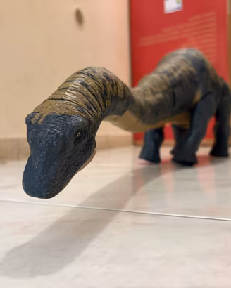 Martina dreadnoughtus