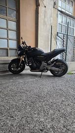 honda hornet 600 