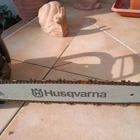 motosega 560xp proffessionale