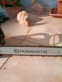 motosega 560xp proffessionale