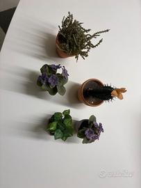 🌿 Set 5 Piantine Artificiali Decorative con Vaset
