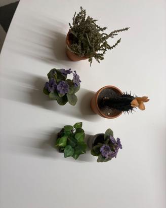 🌿 Set 5 Piantine Artificiali Decorative con Vaset