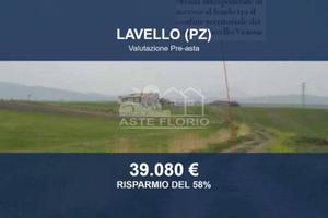 Immobile in asta di 65029 m² a Lavello