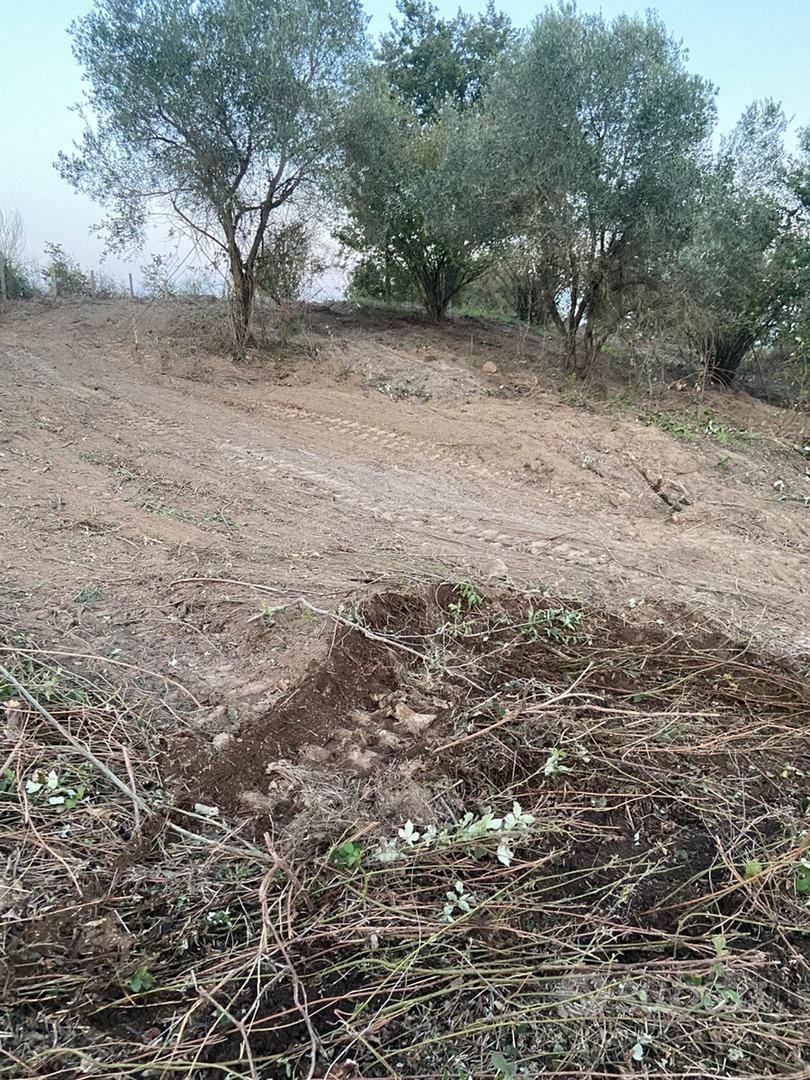 Terreno agricolo - Vista 5